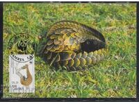 Card postal maxim FDC ANIMALS WWF