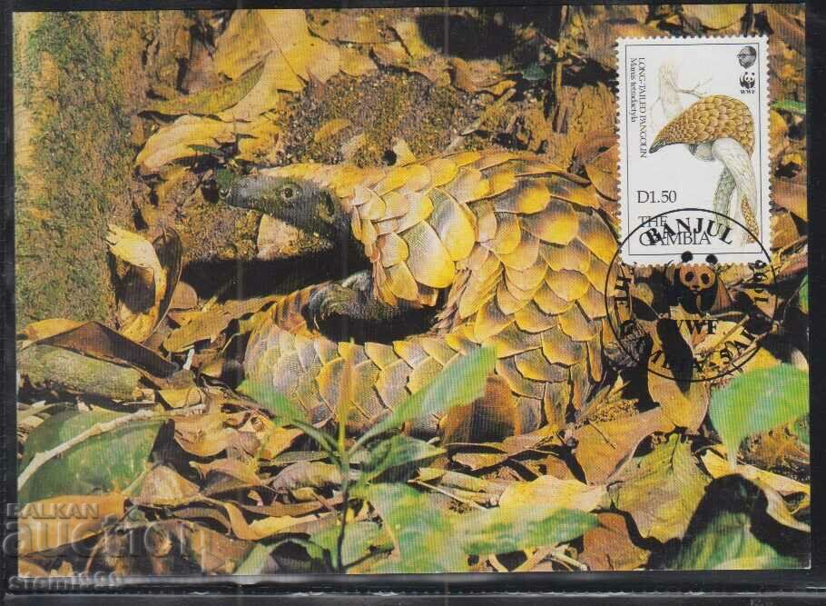 Card postal maxim FDC ANIMALS WWF