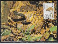 Card postal maxim FDC ANIMALS WWF