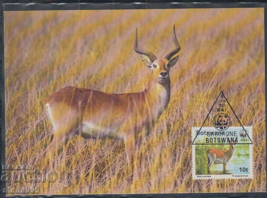 Card postal maxim FDC ANIMALS WWF