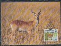 Card postal maxim FDC ANIMALS WWF