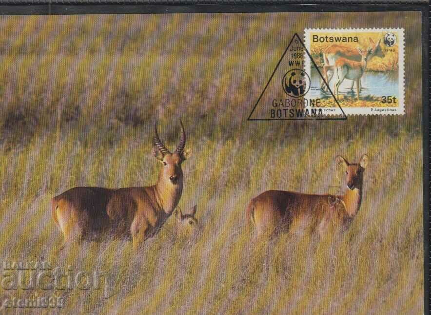 Postal max card FDC ANIMALS WWF