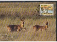 Postal max card FDC ANIMALS WWF