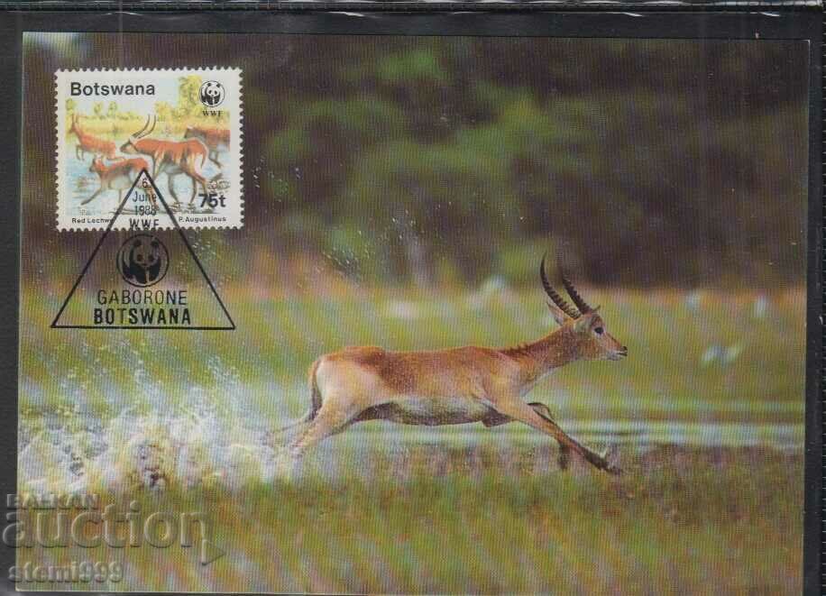 Ταχυδρομική κάρτα max FDC ANIMALS WWF