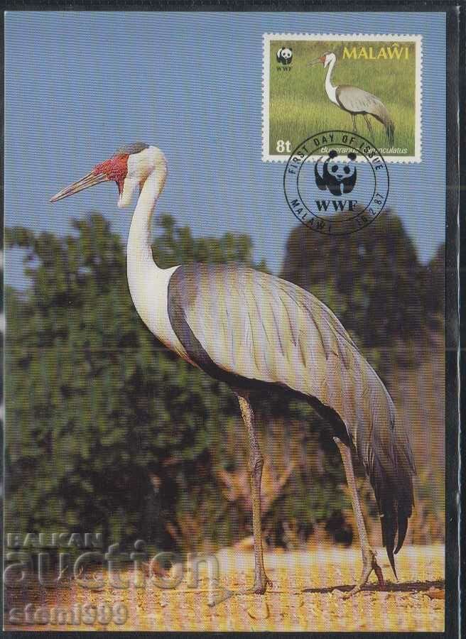 Card postal maxim FDC BIRDS WWF