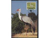 Card postal maxim FDC BIRDS WWF