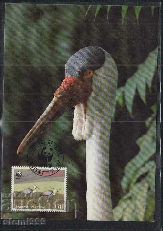 Postal max card FDC BIRDS WWF