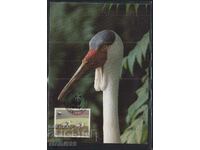 Card postal maxim FDC BIRDS WWF