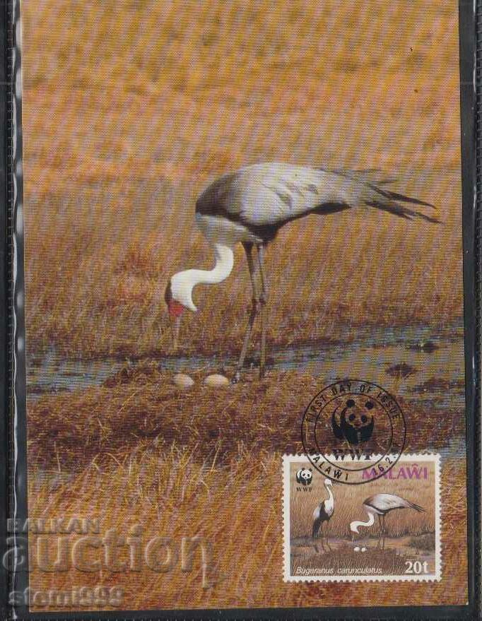 Postal max card FDC BIRDS WWF