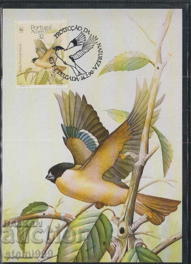 Ταχυδρομική κάρτα max FDC BIRDS