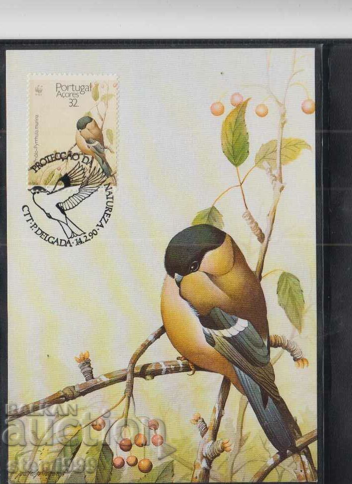 Card postal maxim FDC BIRDS