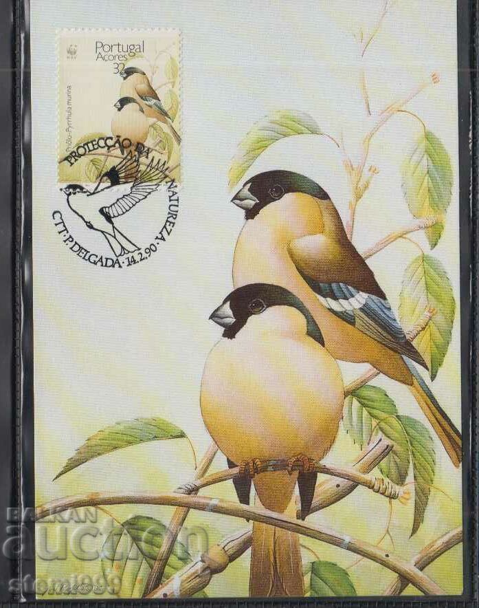 Postal max card FDC BIRDS