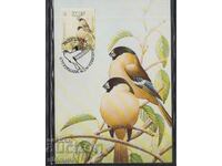 Card postal maxim FDC BIRDS