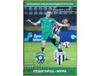 Football program Ludogorets - Mura, Champions League 2021