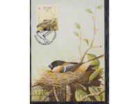 Postal max card FDC BIRDS