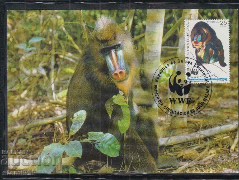 Postal Max Card FDC MONKEY PRIMATES