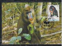 Postal Max Card FDC MONKEY PRIMATES