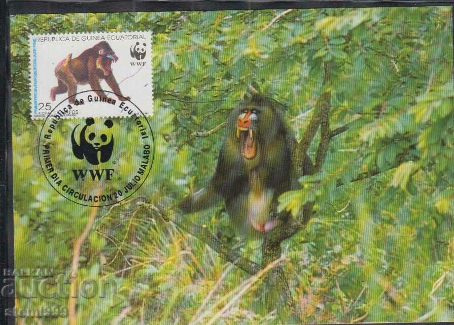 Postal Max Card FDC MONKEYS PRIMATES WWF