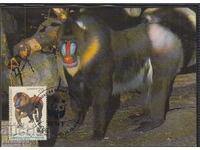 Postal Max Card FDC MONKEYS PRIMATES WWF