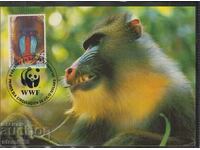 Postal Max Card FDC MONKEYS PRIMATES WWF