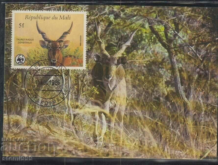 Ταχυδρομική κάρτα max FDC ANIMALS WWF