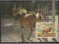 Postal max card FDC ANIMALS WWF