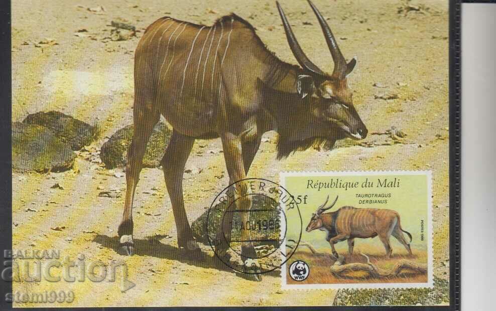 Card postal maxim FDC ANIMALS WWF