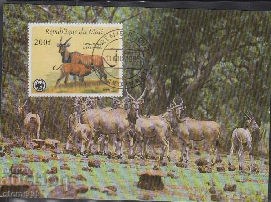 Ταχυδρομική κάρτα max FDC ANIMALS WWF