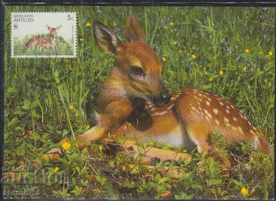 Postal Max Card FDC ANIMAL DEER