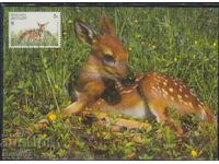 Postal Max Card FDC ANIMAL DEER