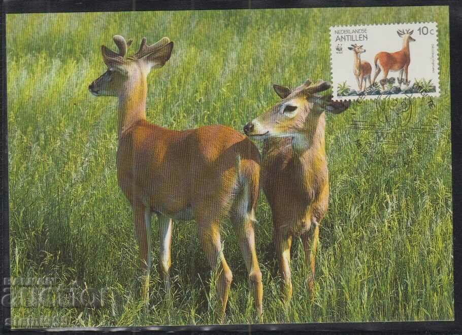 Postal Max Card FDC ANIMAL DEER