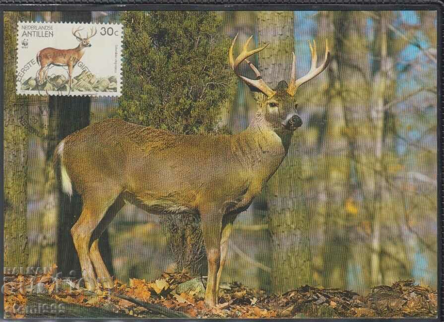 Postal Max Card FDC ANIMAL DEER