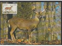 Postal Max Card FDC ANIMAL DEER