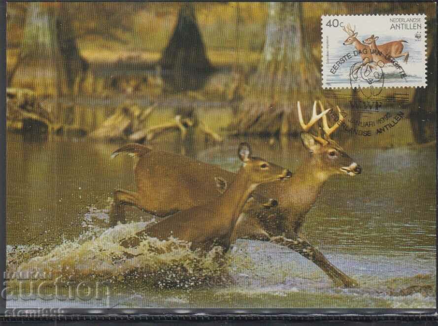 Postal Max Card FDC ANIMAL DEER