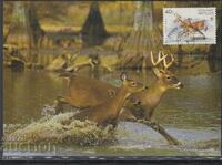 Postal Max Card FDC ANIMAL DEER