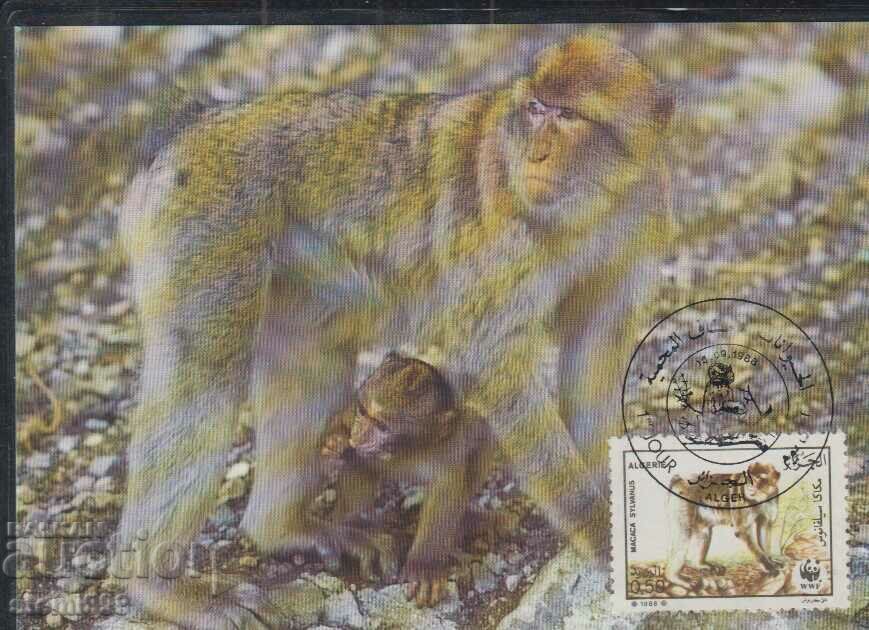 Postal Max Card FDC MONKEY PRIMATES