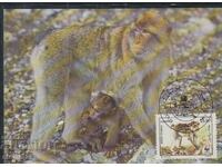 Postal Max Card FDC MONKEY PRIMATES