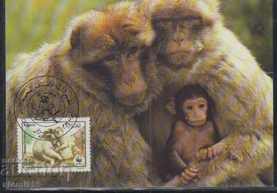 Postal Max Card FDC MONKEY PRIMATES