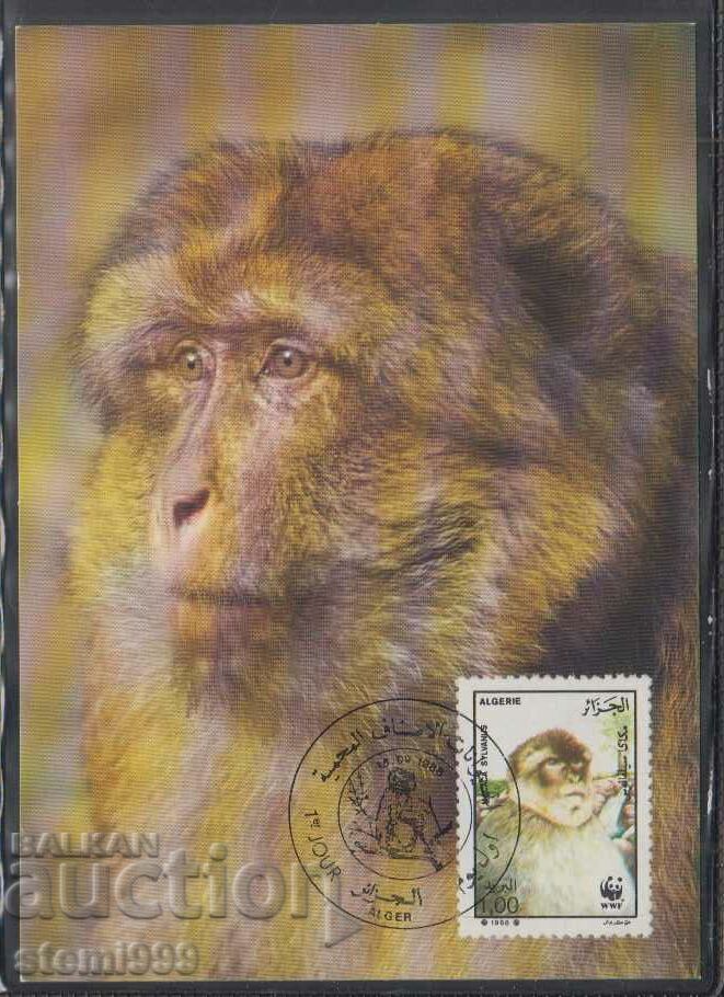 Ταχυδρομική κάρτα Max FDC MONKEY PRIMATES