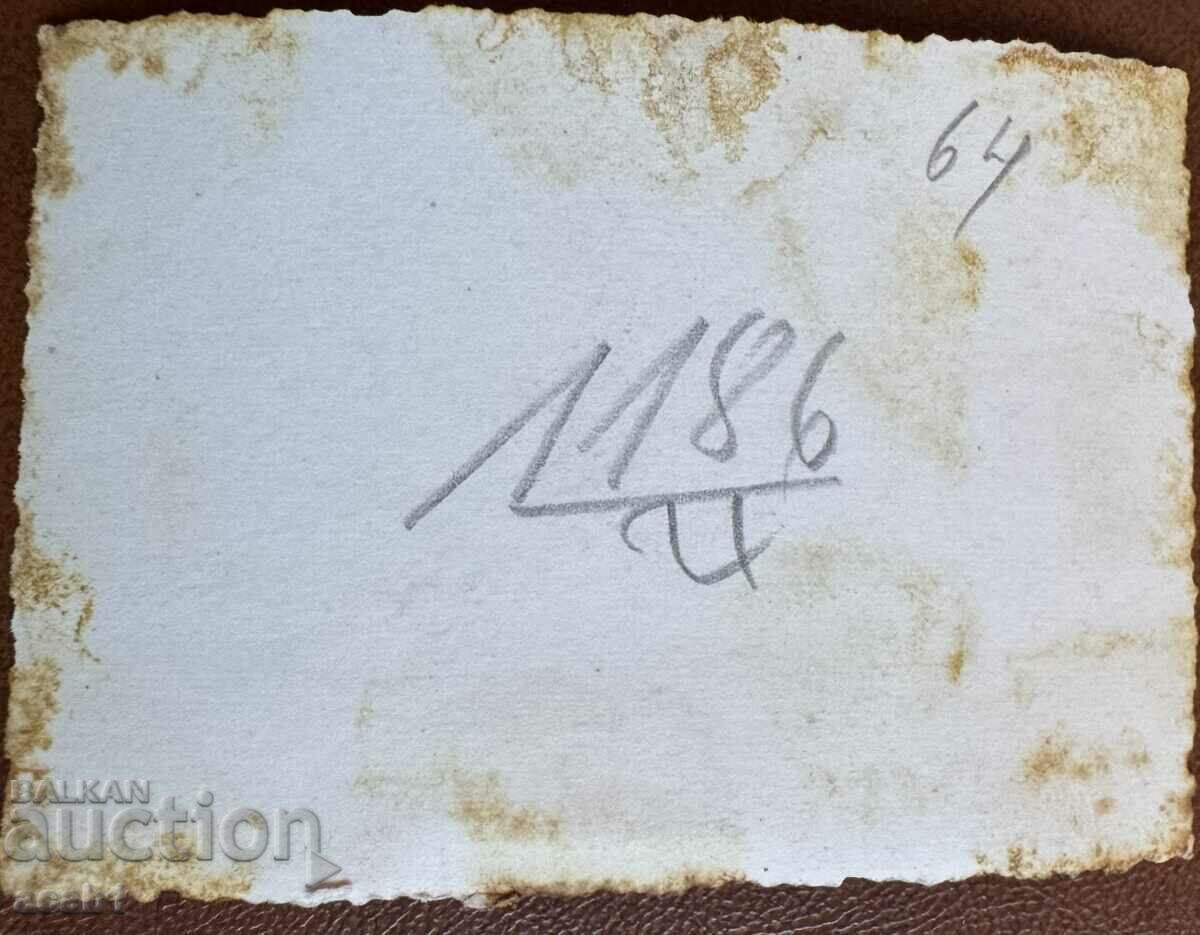 VSV Ladder Fighters with price 5.99 BGN | € 3.06 VSV Ladder Fighters with price 5.99 BGN | € 3.06