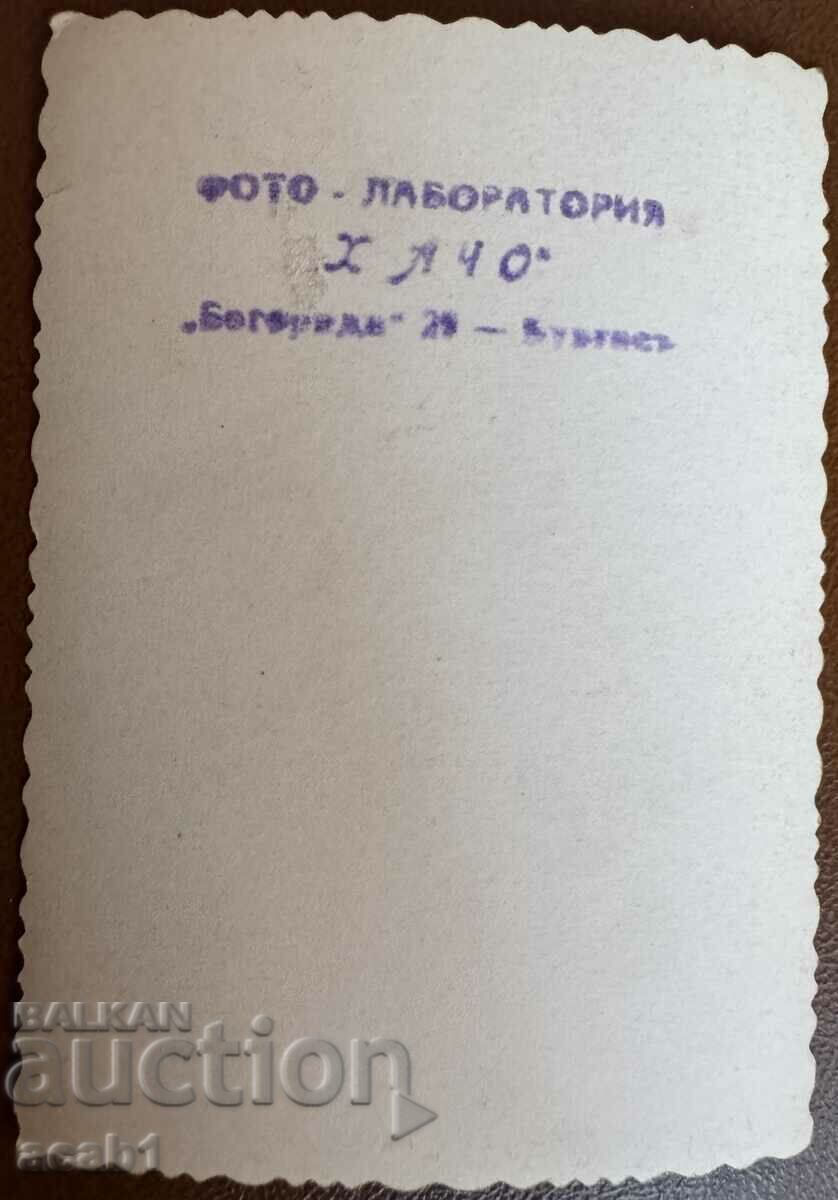 Fighters VSV photo 2 with price 9.99 BGN | € 5.11 Fighters VSV photo 2 with price 9.99 BGN | € 5.11