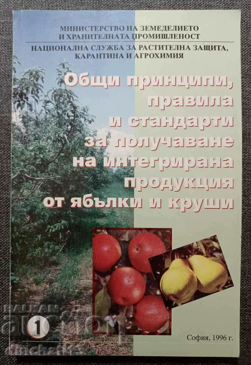 Получаване на продукция от ябълки и круши: Ябълка