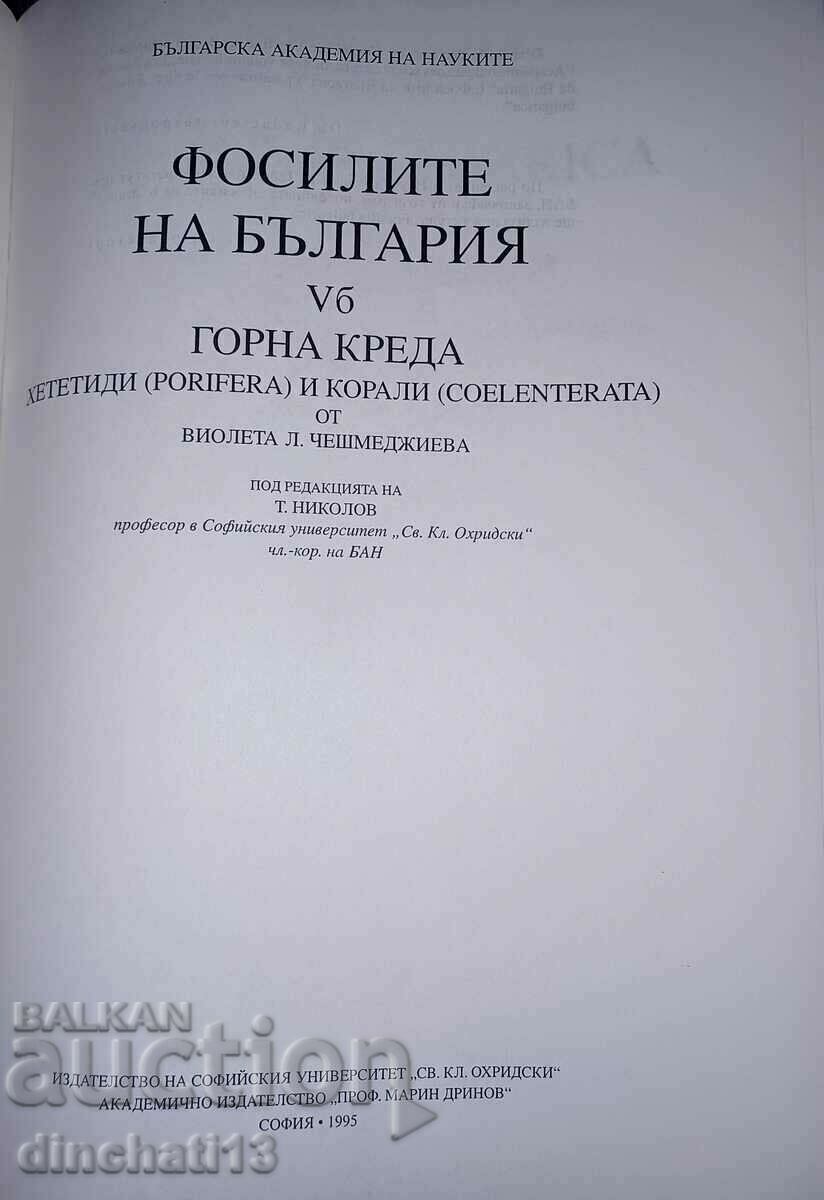 Fosilia Bulgarica. Volumul 5b: Crétacé Supérieur. Fosilele cu preț 55.00 BGN | € 28.12 Fosilia Bulgarica. Volumul 5b: Crétacé Supérieur. Fosilele cu preț 55.00 BGN | € 28.12