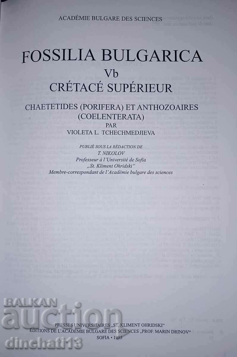 Licitație Fosilia Bulgarica. Volumul 5b: Crétacé Supérieur. Fosilele Licitație Fosilia Bulgarica. Volumul 5b: Crétacé Supérieur. Fosilele