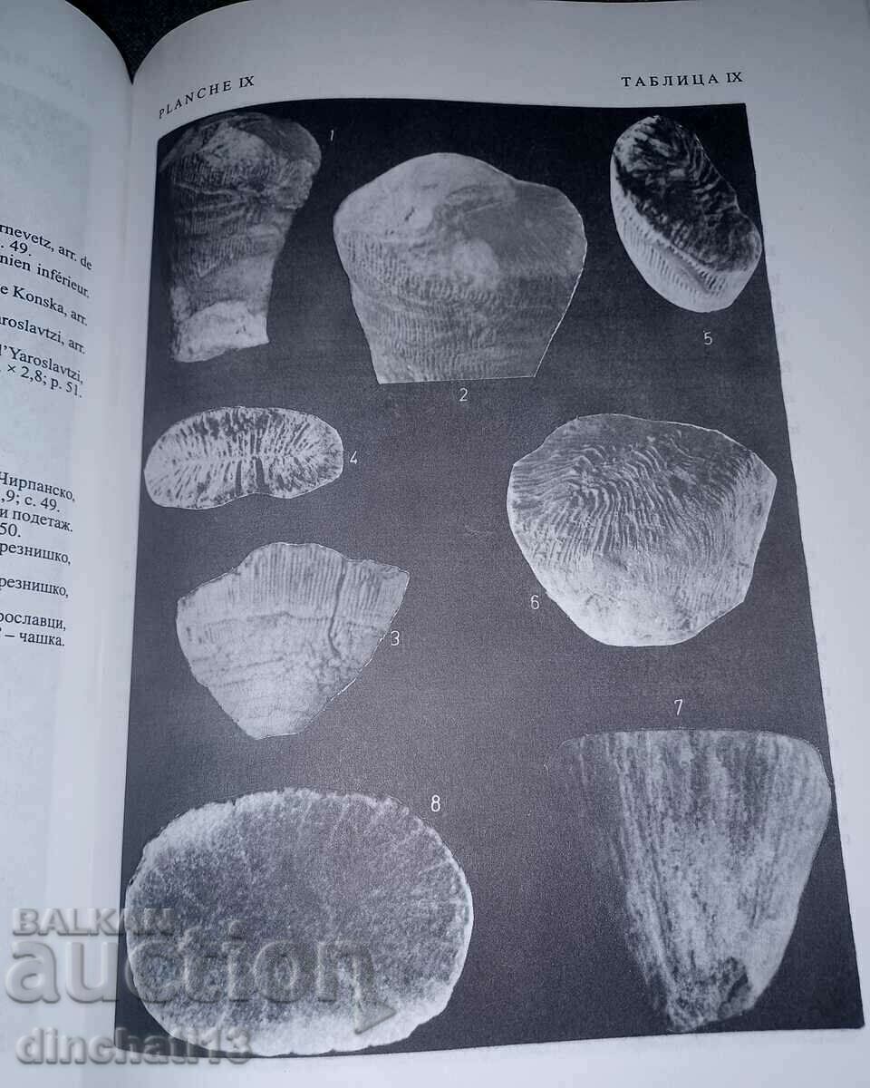 Fosilia Bulgarica. Volumul 5b: Crétacé Supérieur. Fosilele - 5 Fosilia Bulgarica. Volumul 5b: Crétacé Supérieur. Fosilele - 5