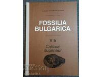 Fossilia Bulgarica. Volume 5b: Crétacé Supérieur. The fossils