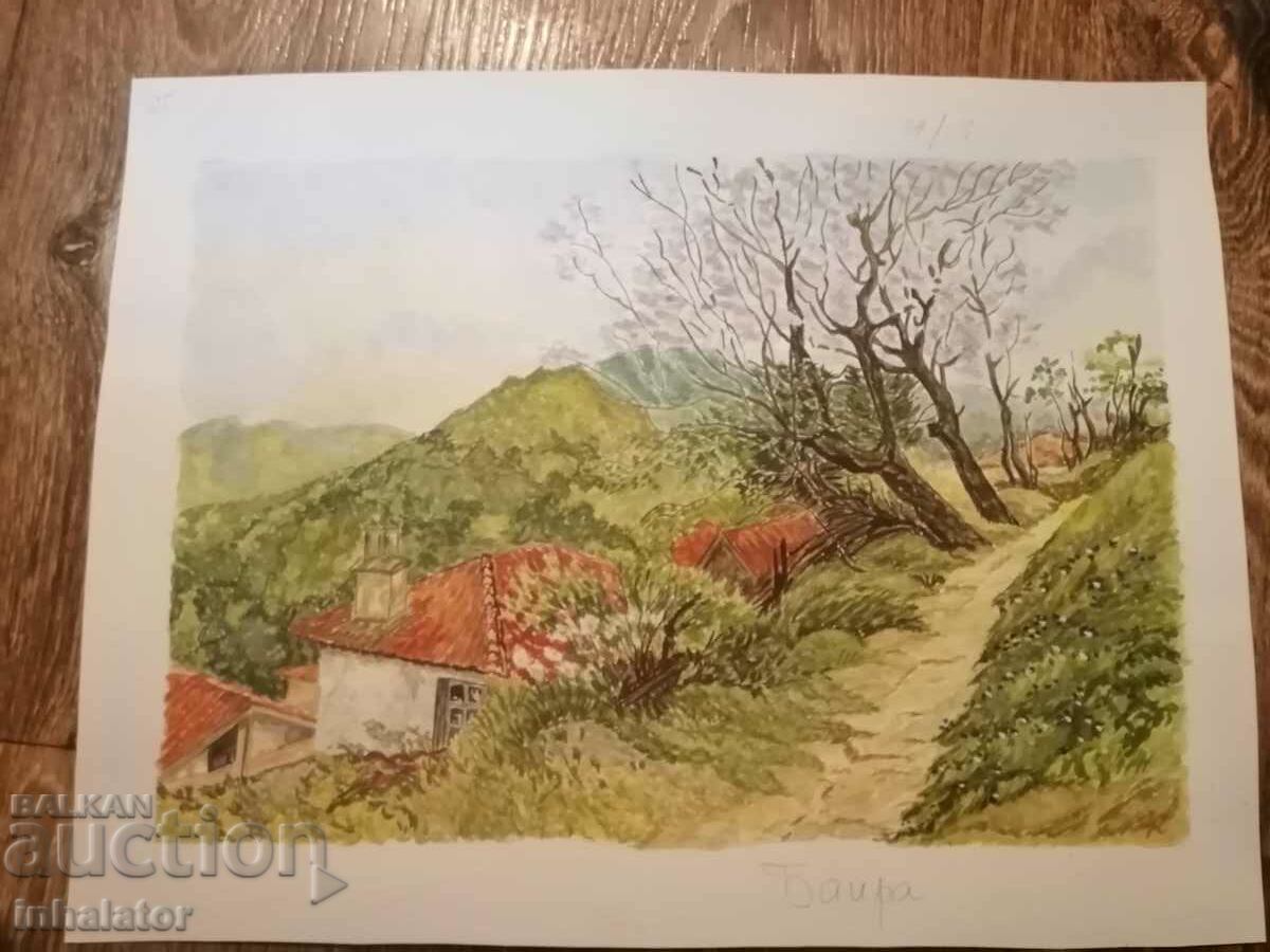 Watercolor Baira 39 - 27 cm