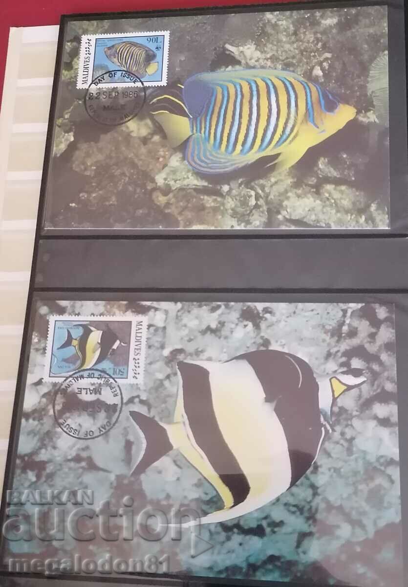 Maldives - WWF fauna, coral fish with price 8.00 BGN | € 4.09 Maldives - WWF fauna, coral fish with price 8.00 BGN | € 4.09