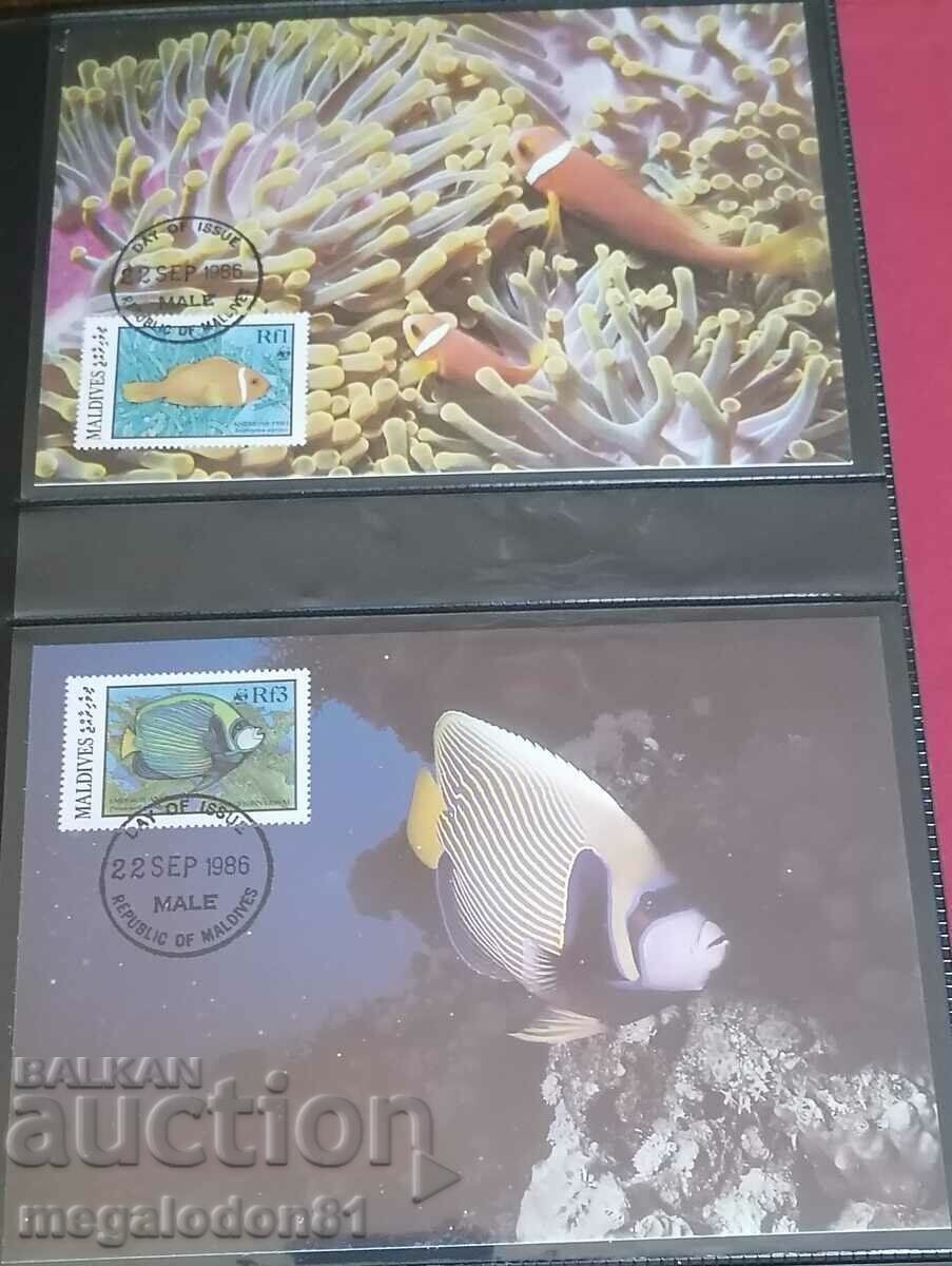 Μαλδίβες - πανίδα WWF, κοραλλιογενή ψάρια