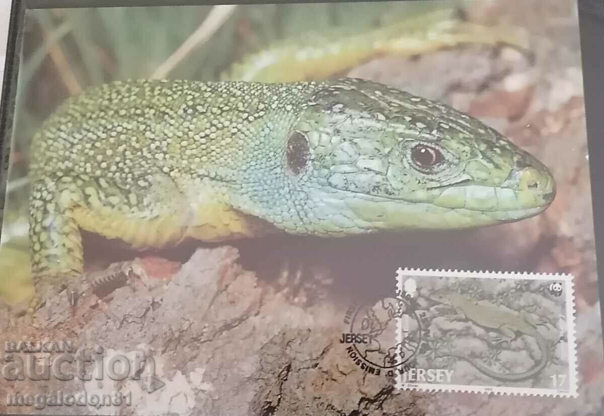 Auction Jusei (Great Britain) - WWF Fauna Auction Jusei (Great Britain) - WWF Fauna